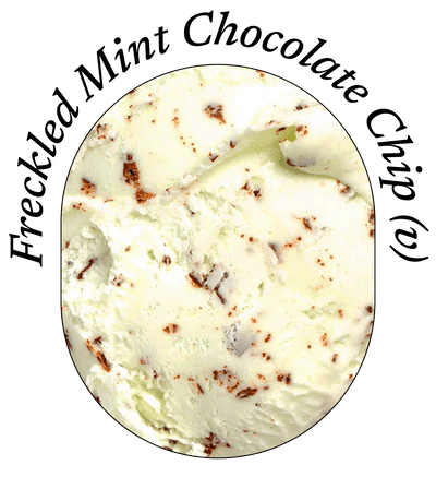 Freckled Mint Chocolate Chip ice cream